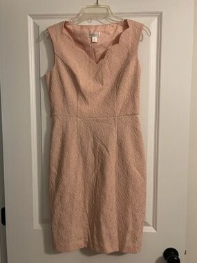 Tevolio Light Pink Jacquard Sheath Dress